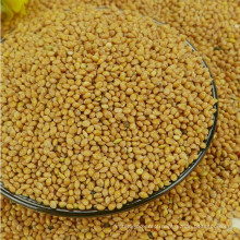 Chinese Yellow White Broomcorn Millet With Cheap Price